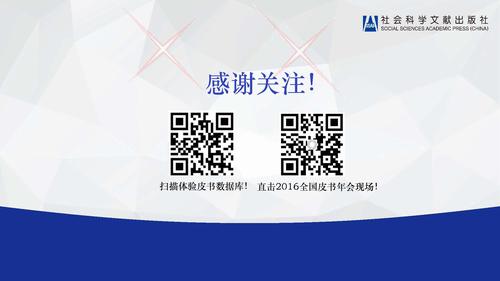 16.08.05刘姝--皮书数据库小数据分析v3（发皮书数据库版）_页面_30